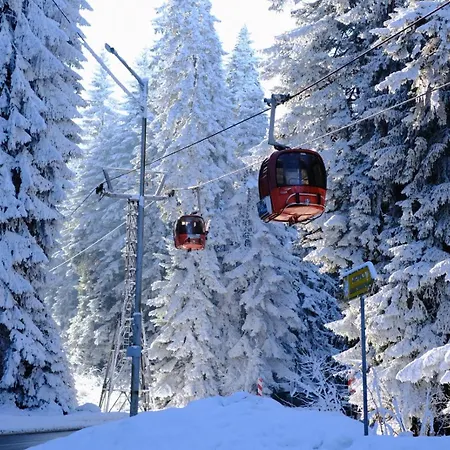 Your Place * Borovets