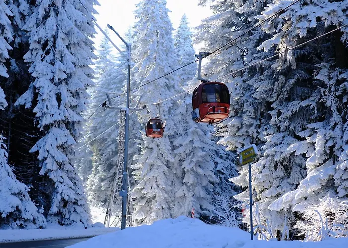 Your Place * Borowec